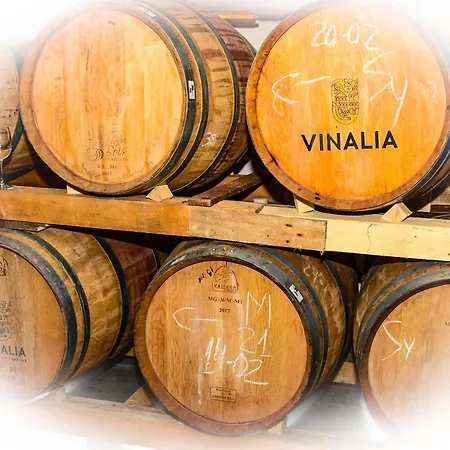 Vinalia - Conacul Din Ceptura